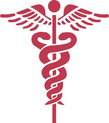 Healthcare Management and MHA Ceremony Pins